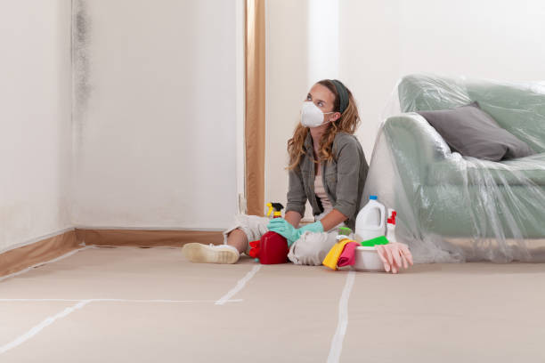 Trusted Mold Inspection service in Olney, IL - Cheap Mold Removal